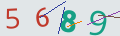 verifycode